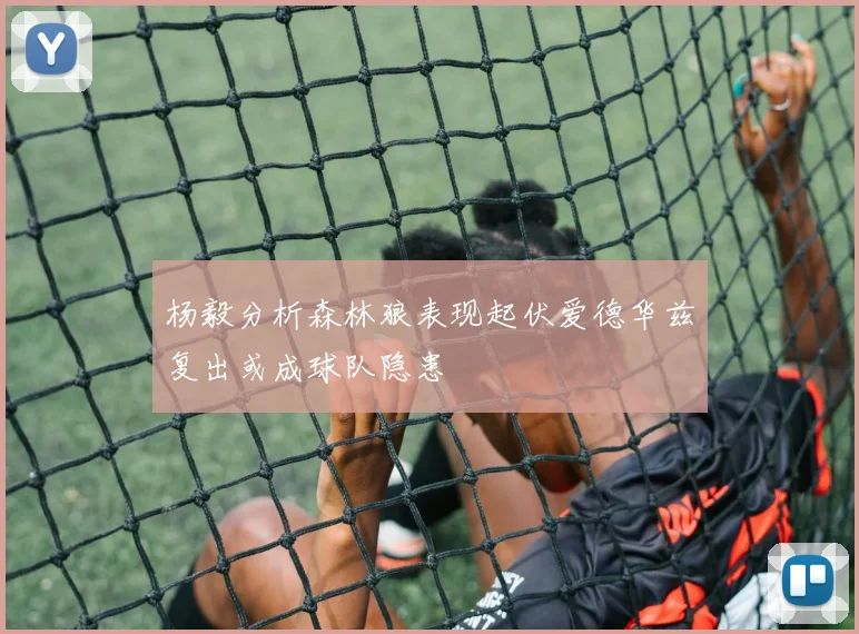杨毅分析森林狼表现起伏爱德华兹复出或成球队隐患